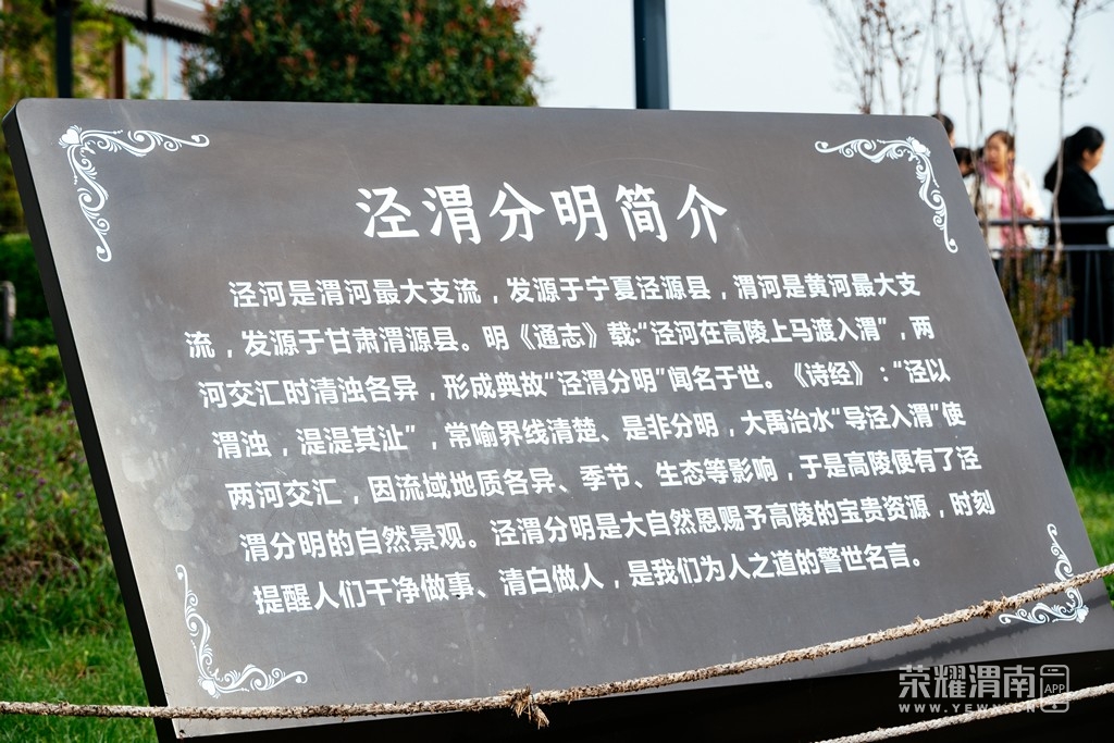 _ZFC2187.jpg