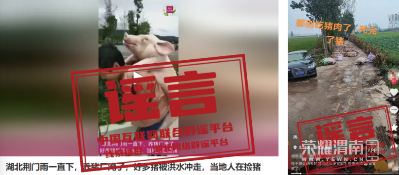 165759gm7p6mpcn11r2e2r.png
