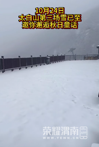 210331t86m6yt6f66vtp53.png