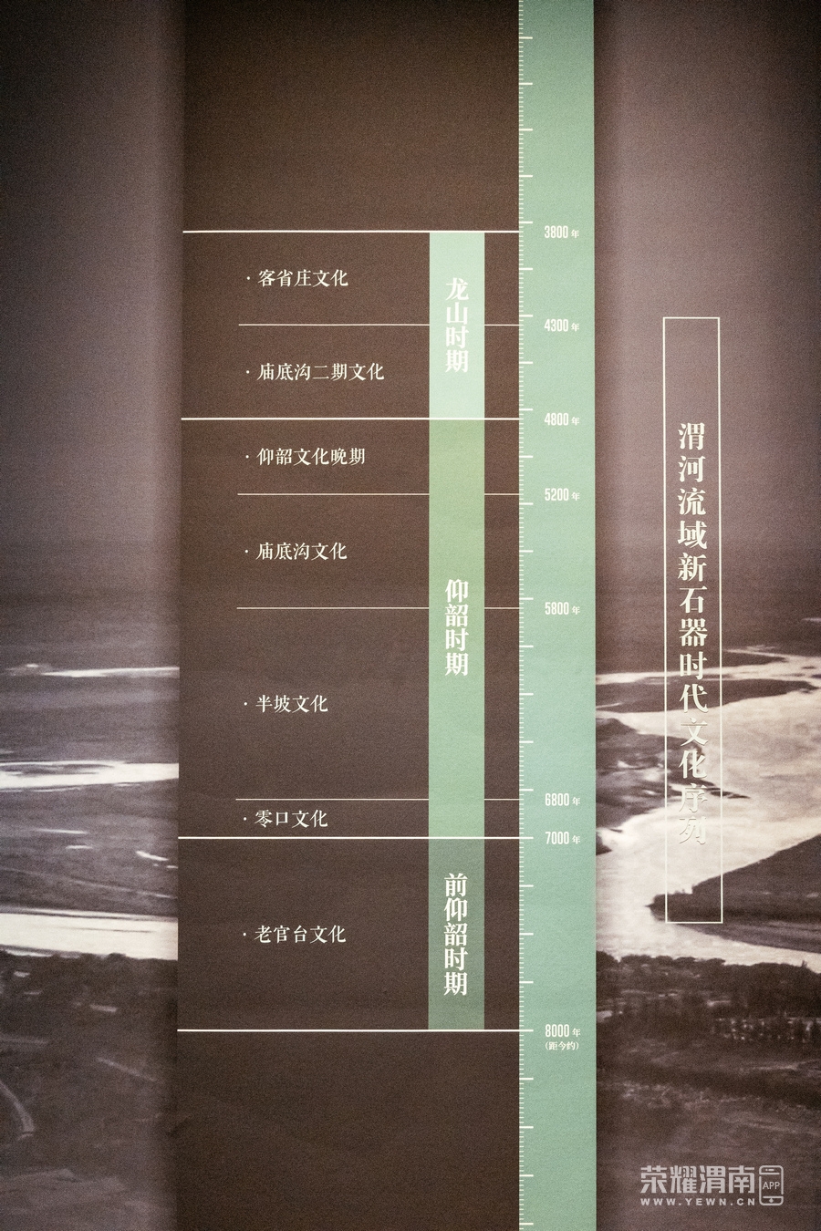 _ZFC8081.jpg