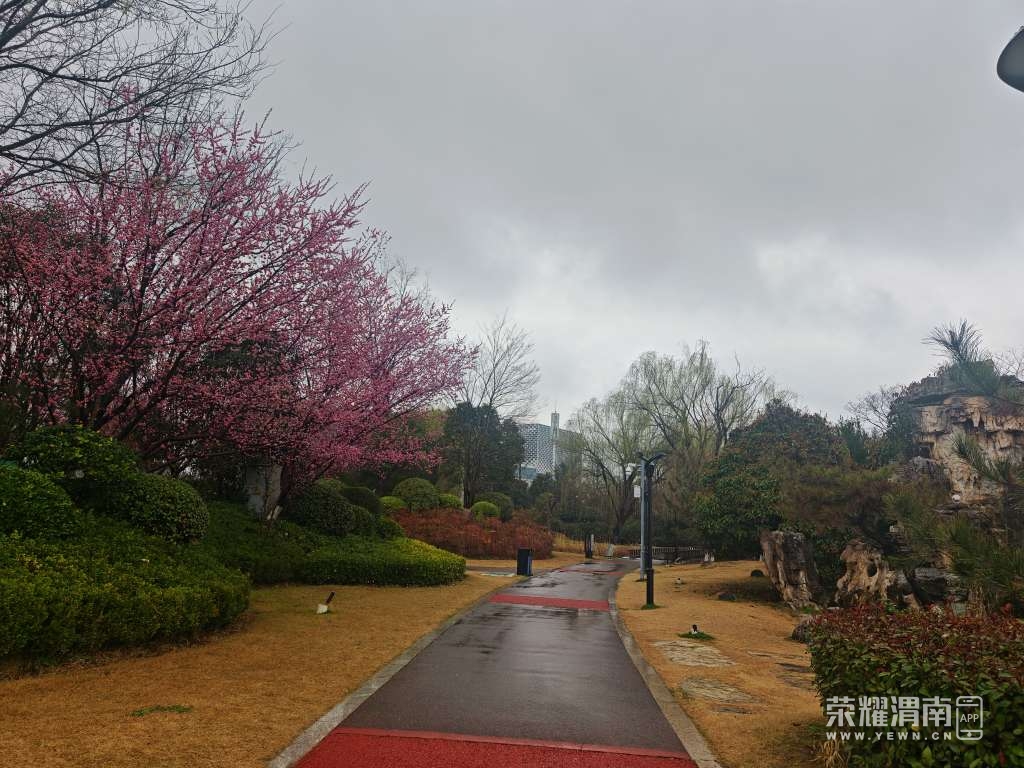 20260301125547front2_0_290576_FjUn00TWG2CDSI5Oqbk08bztninv.jpg