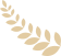 142850g5mwhphnuk5ul5zh.png
