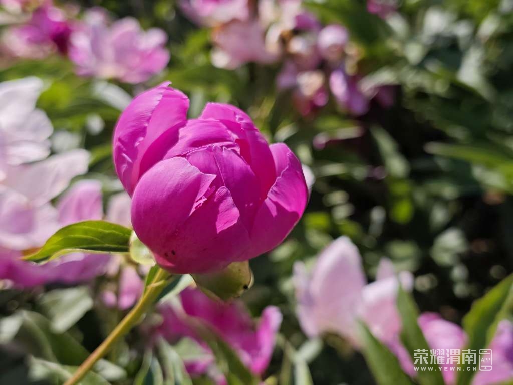 20260504211853front2_0_22346_FjWaYXPQxZdaKRRk-NKM-PHaNeJ9.jpg