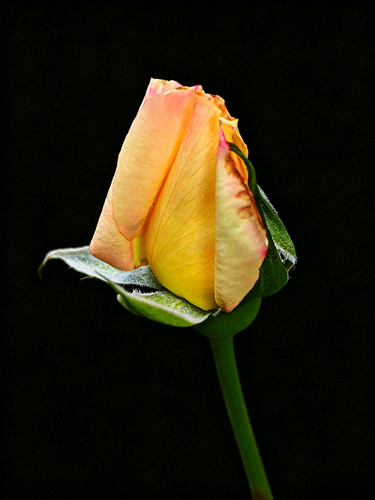 20260527202702front2_0_161040_Fko3xSnY-LaKK9AvdYoy4uR2sij2.png