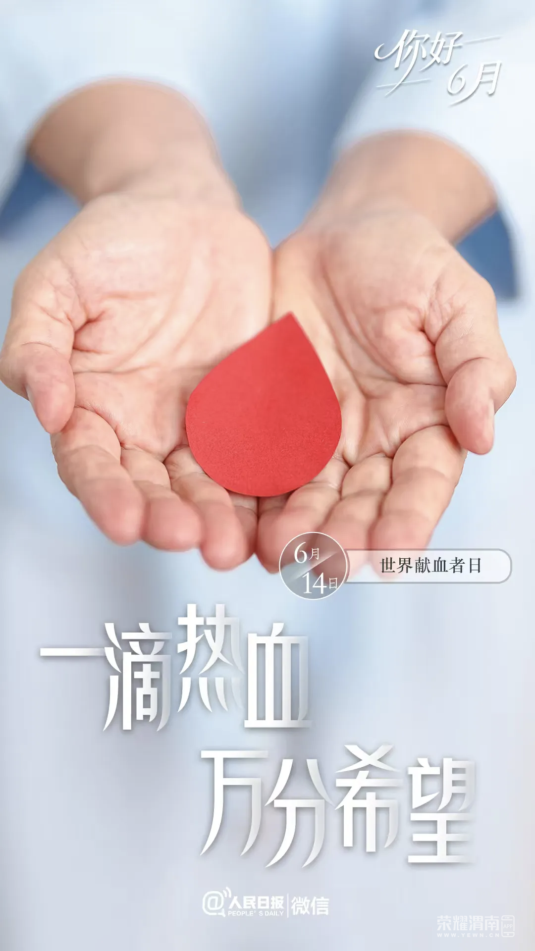 20260601075451front2_0_241611_Fv46Ry6CvXn0f9ATRRB-gB45eY4n.png