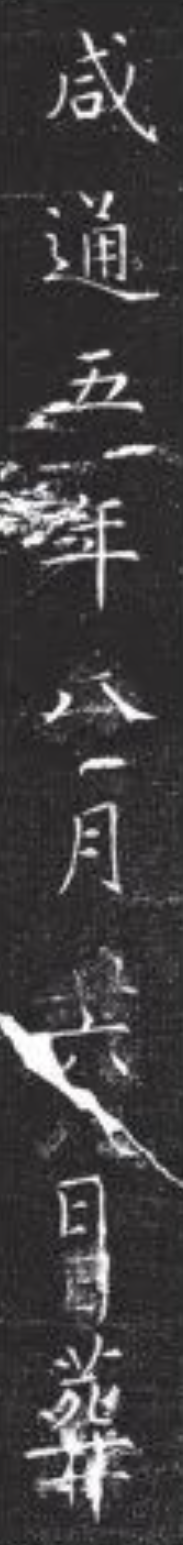 142049ax2g7oxpc27pg5r7.png