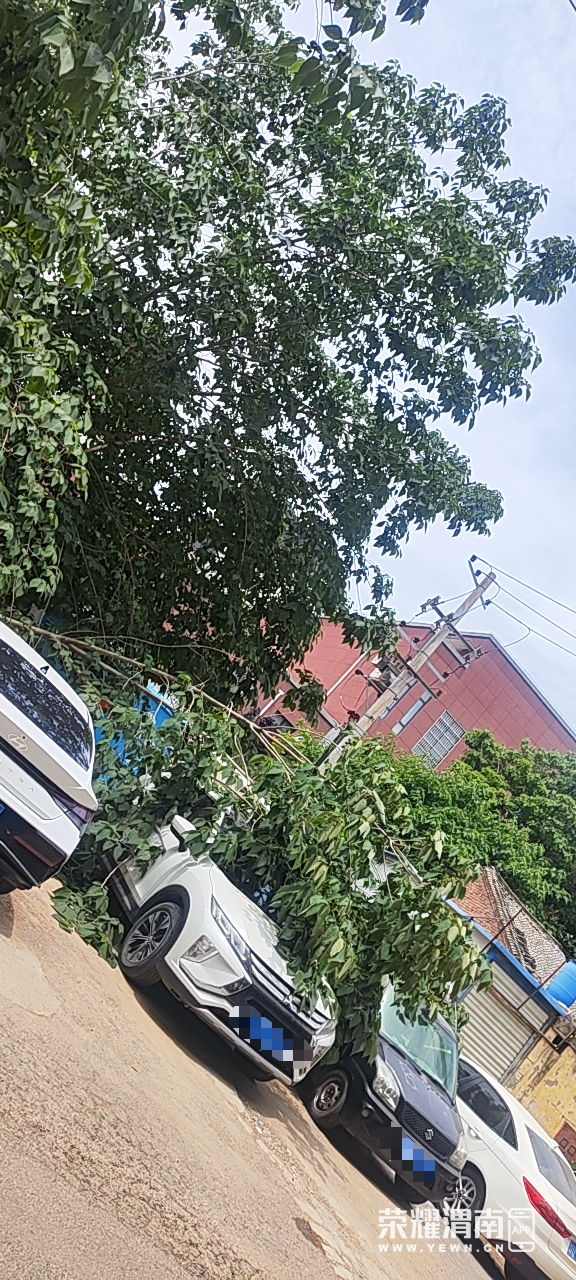 ΢��ͼƬ_2026-06-03_143818_767.png