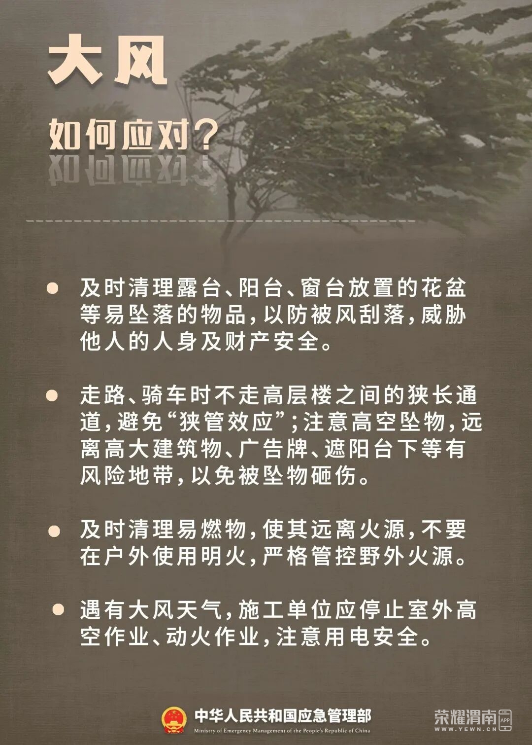 145809lpsn2p77527apab5.jpeg