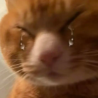 165956wez1t05tdxe85sqs.png