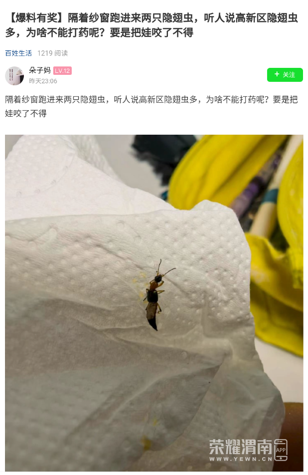 110832baau96yyty9nw64g.png
