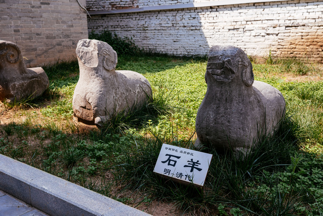 _ZFG6148.jpg