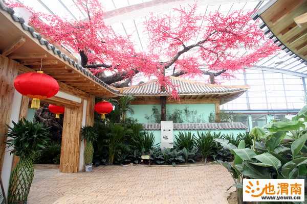 ��ɫ�ż�����ͨ��