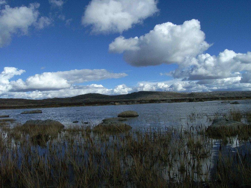 ����� 142a.jpg