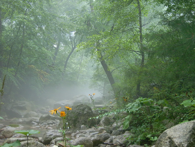 ���ҹ� 011.jpg