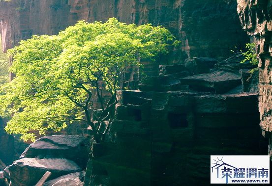 ���� (116).jpg