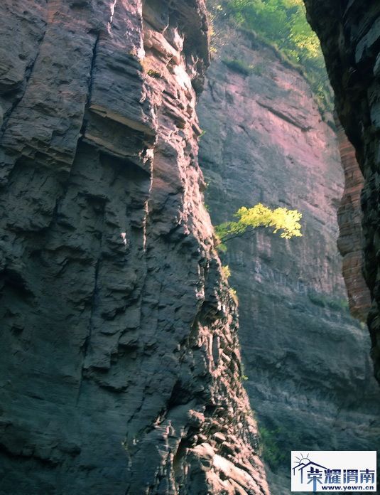 ���� 111_2.jpg