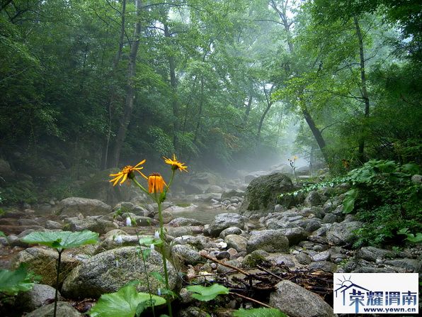 ���ҹ� 222.jpg