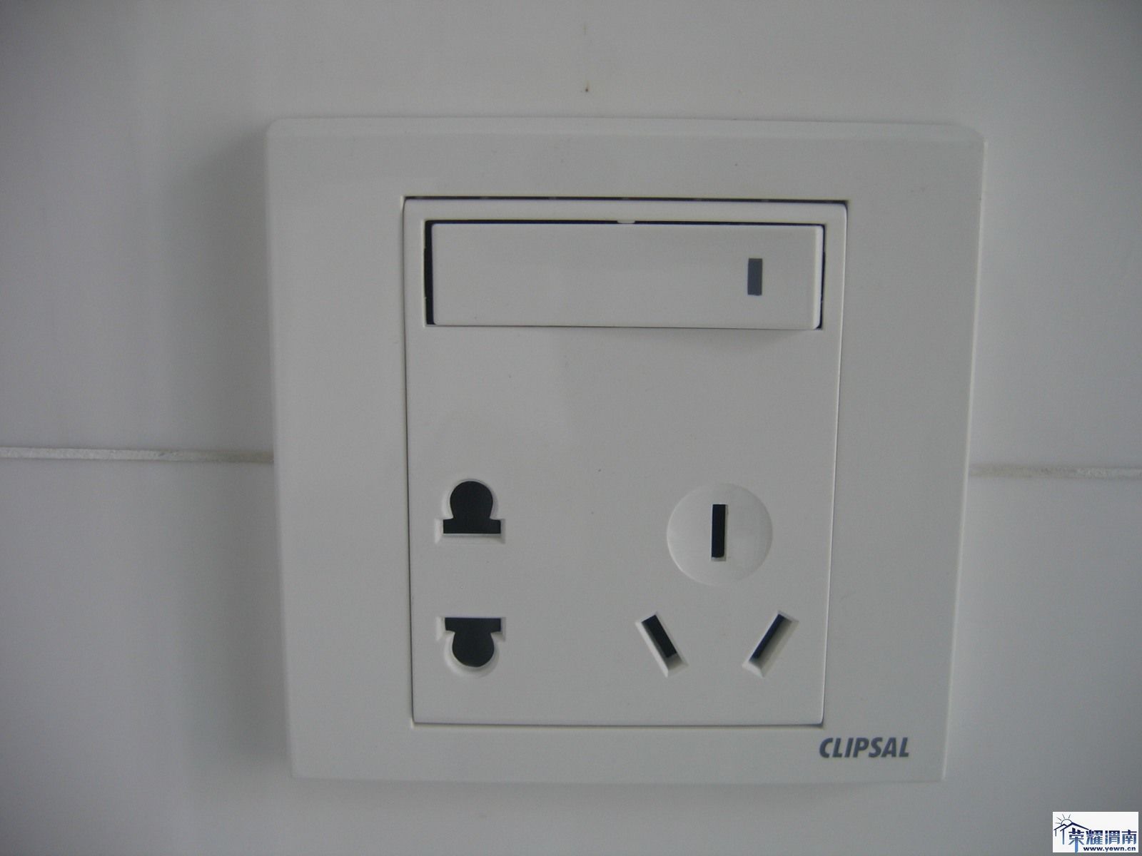 100117 ����005.jpg