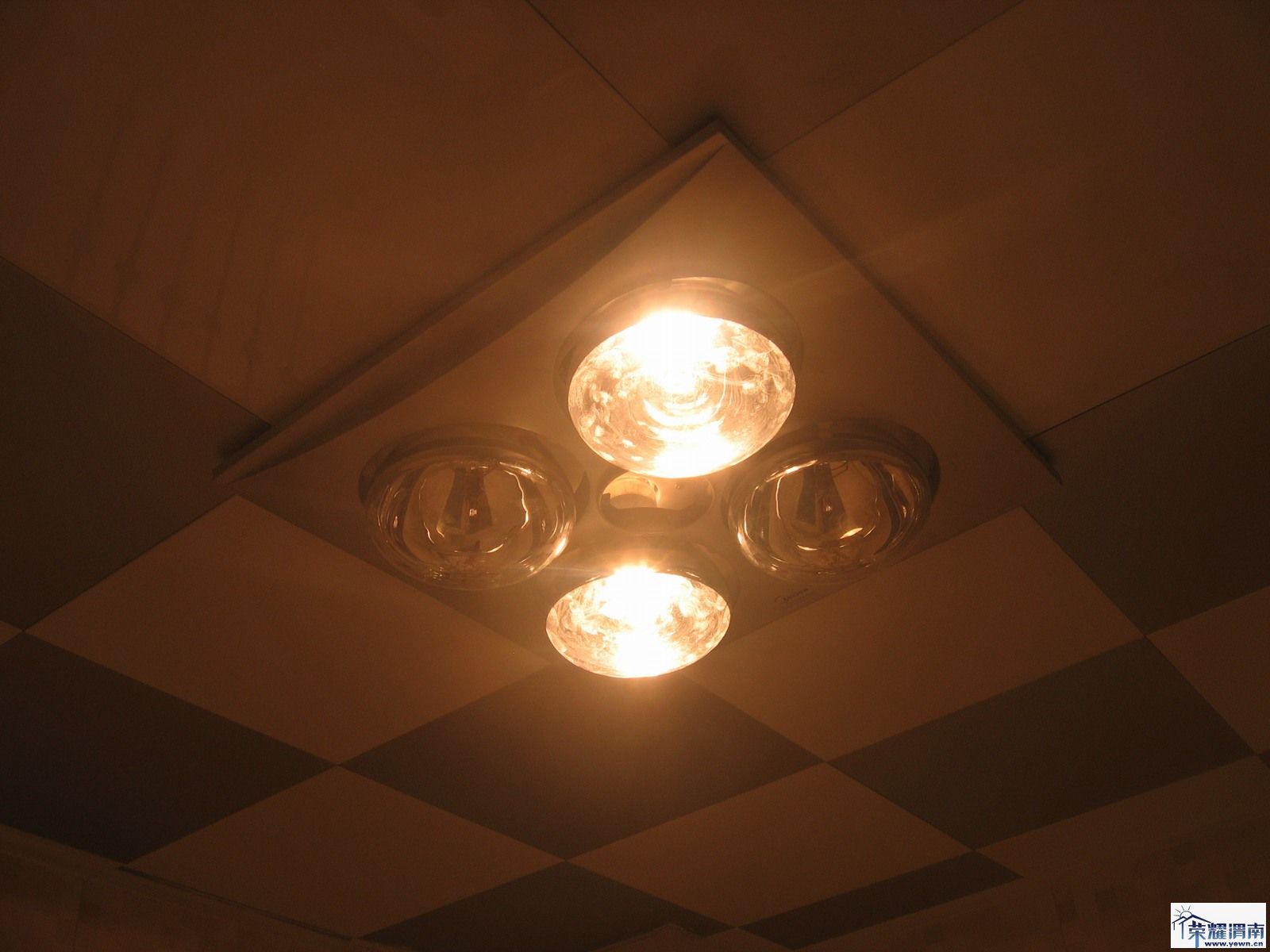 100117 ԡ��002.jpg