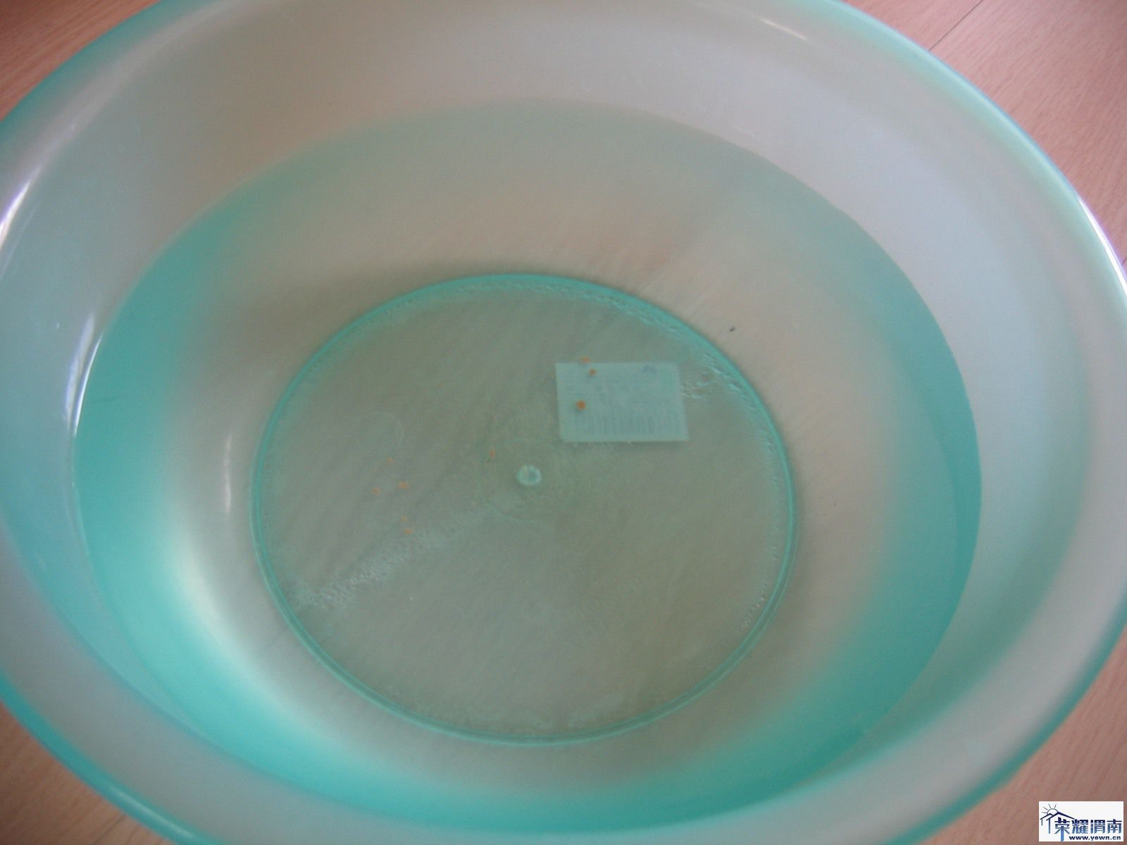 100124 �������˵�ˮ.jpg