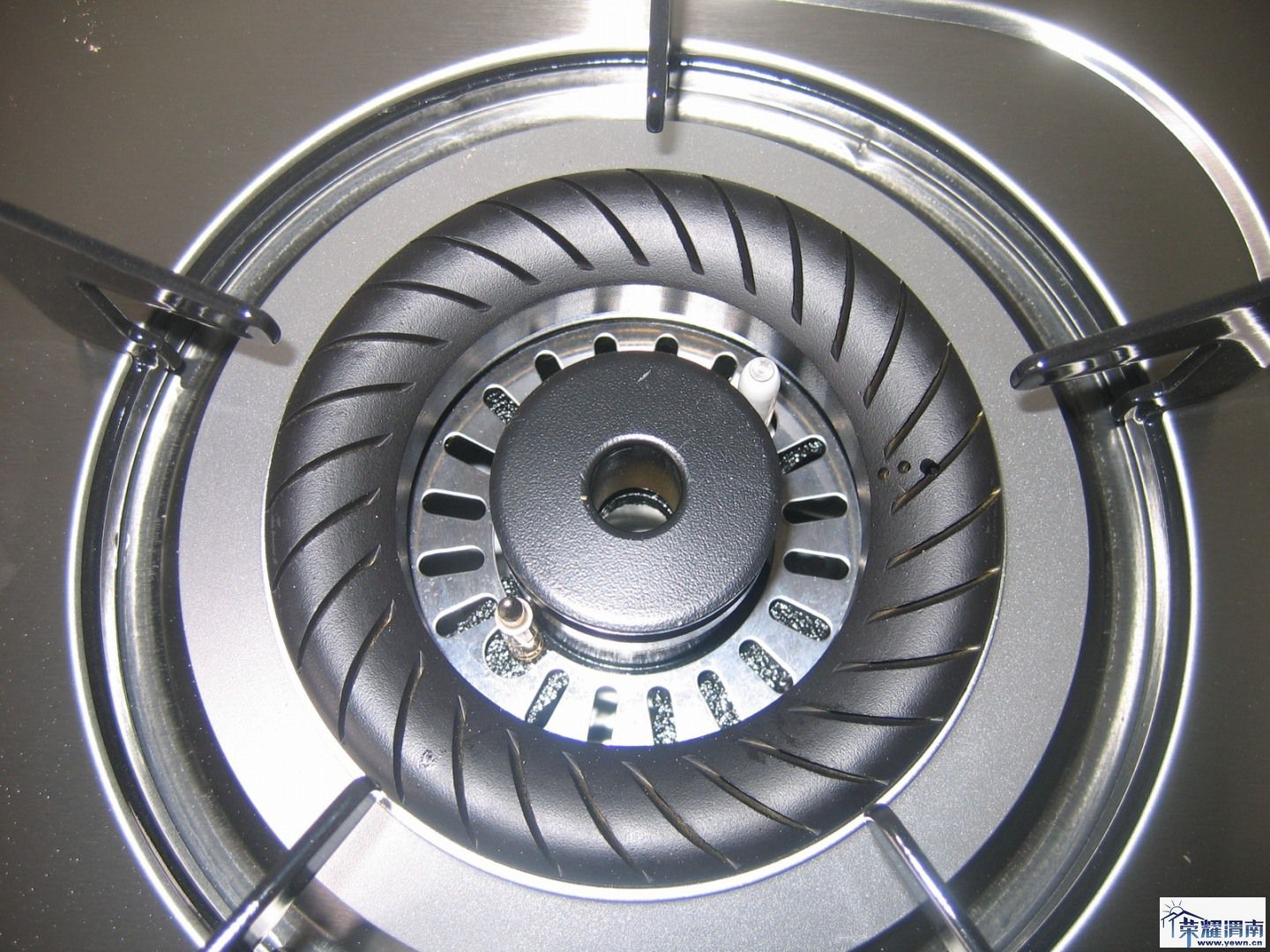 100208 ˫ͷ��002.jpg