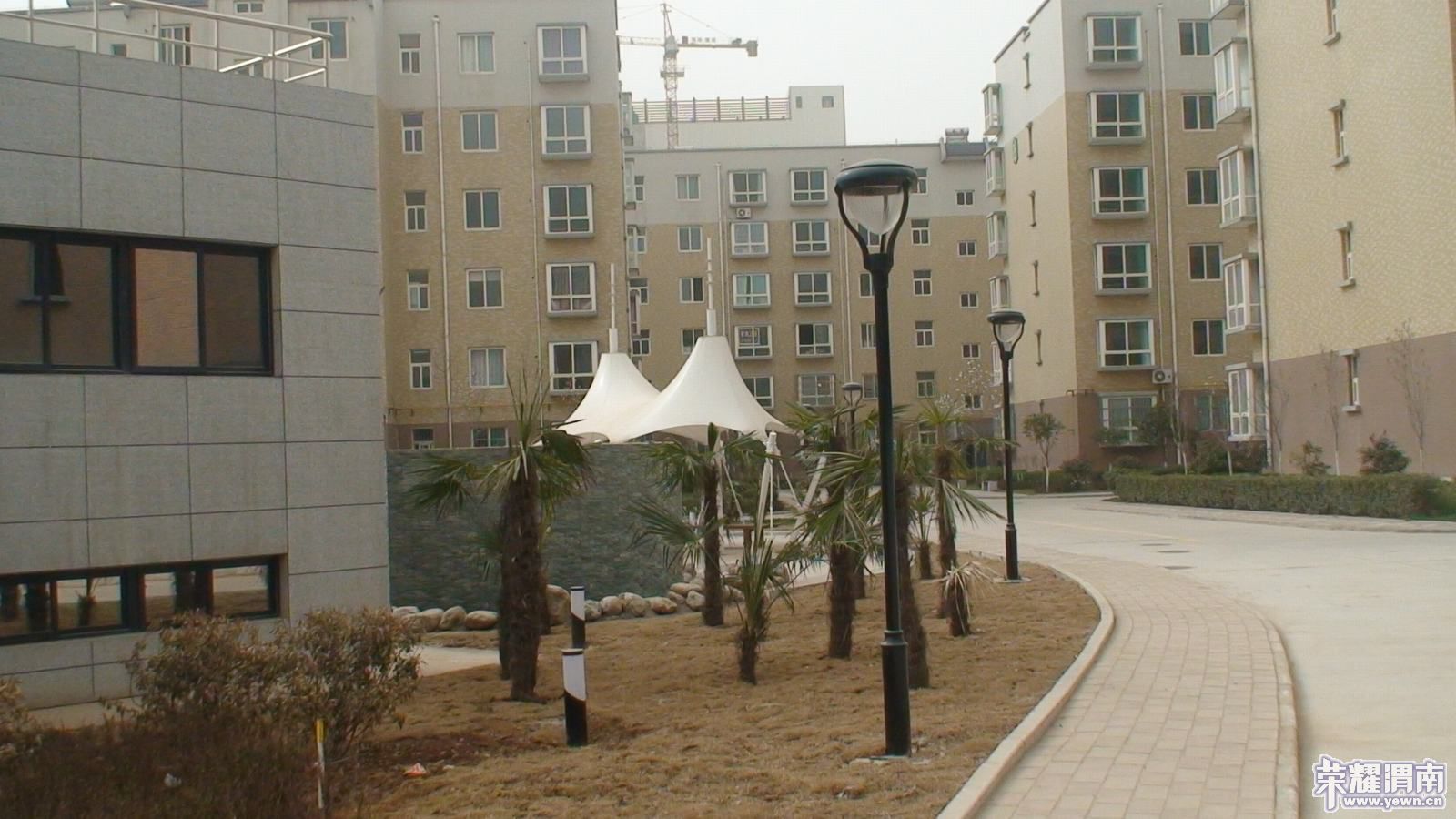 100320 �׶�԰03.JPG