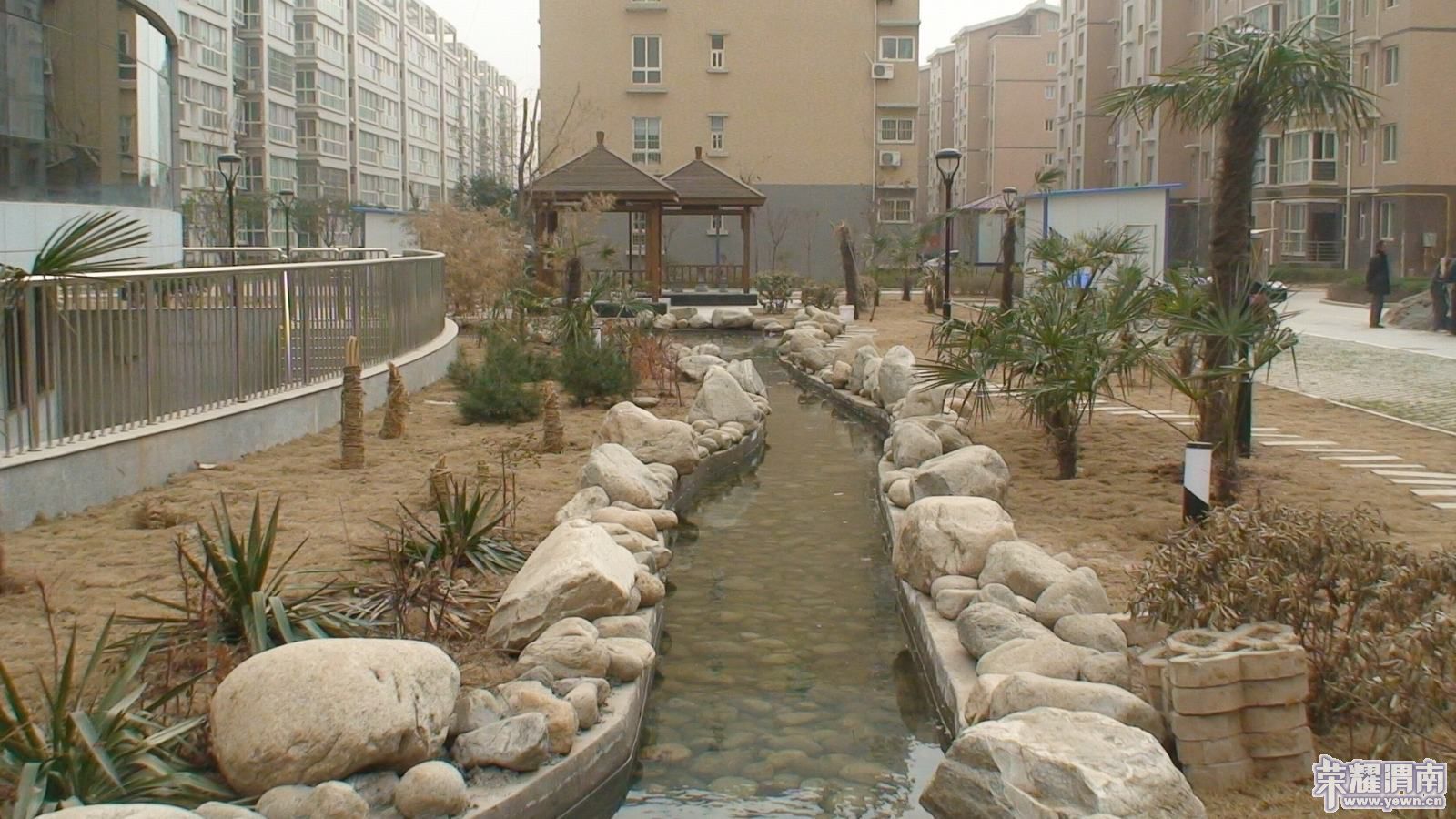 100320 �׶�԰05.JPG