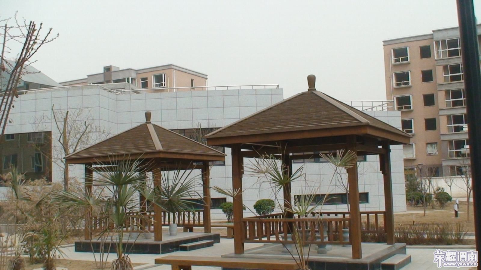 100320 �׶�԰06.JPG