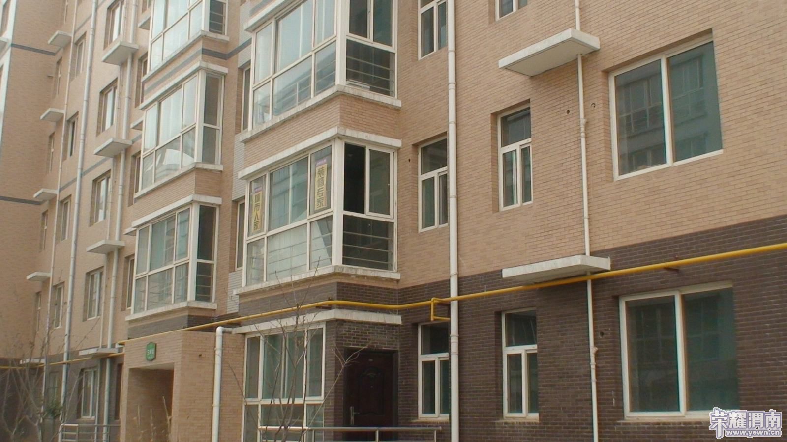 100320 �����˼�02.JPG