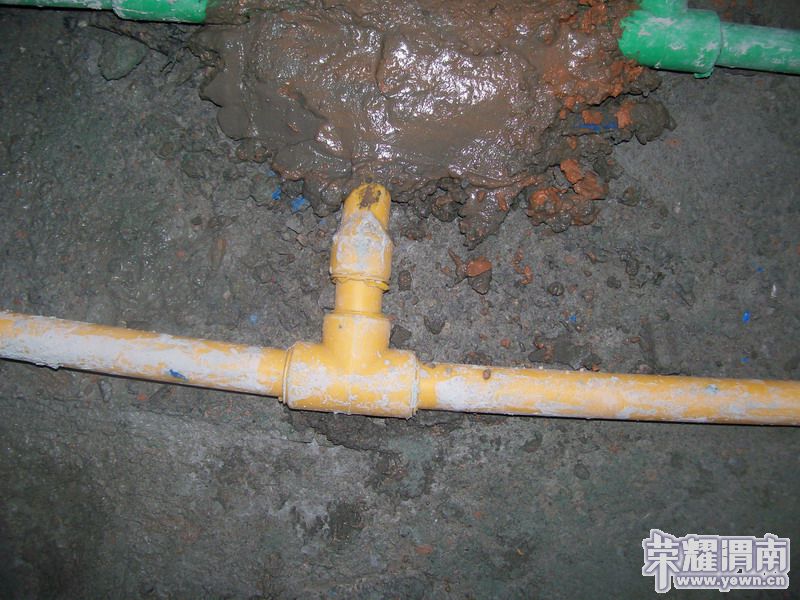 �������������Ⱑ���۵�ʱ��̫����