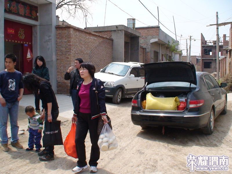 荣耀渭南网友《救助流浪狗》爱心行动(图+视频