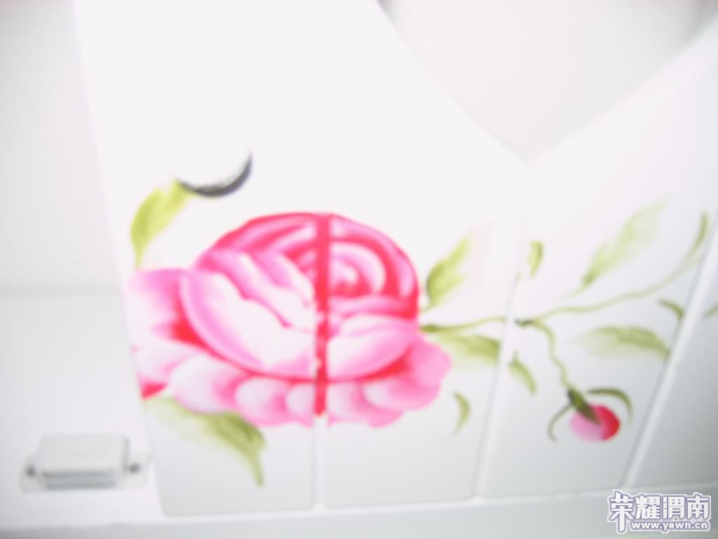 100610 ������006.jpg