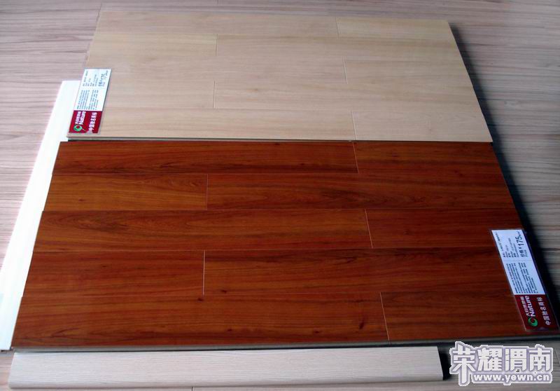 ����Ȼ����ľ�ذ�ѡɫͼ