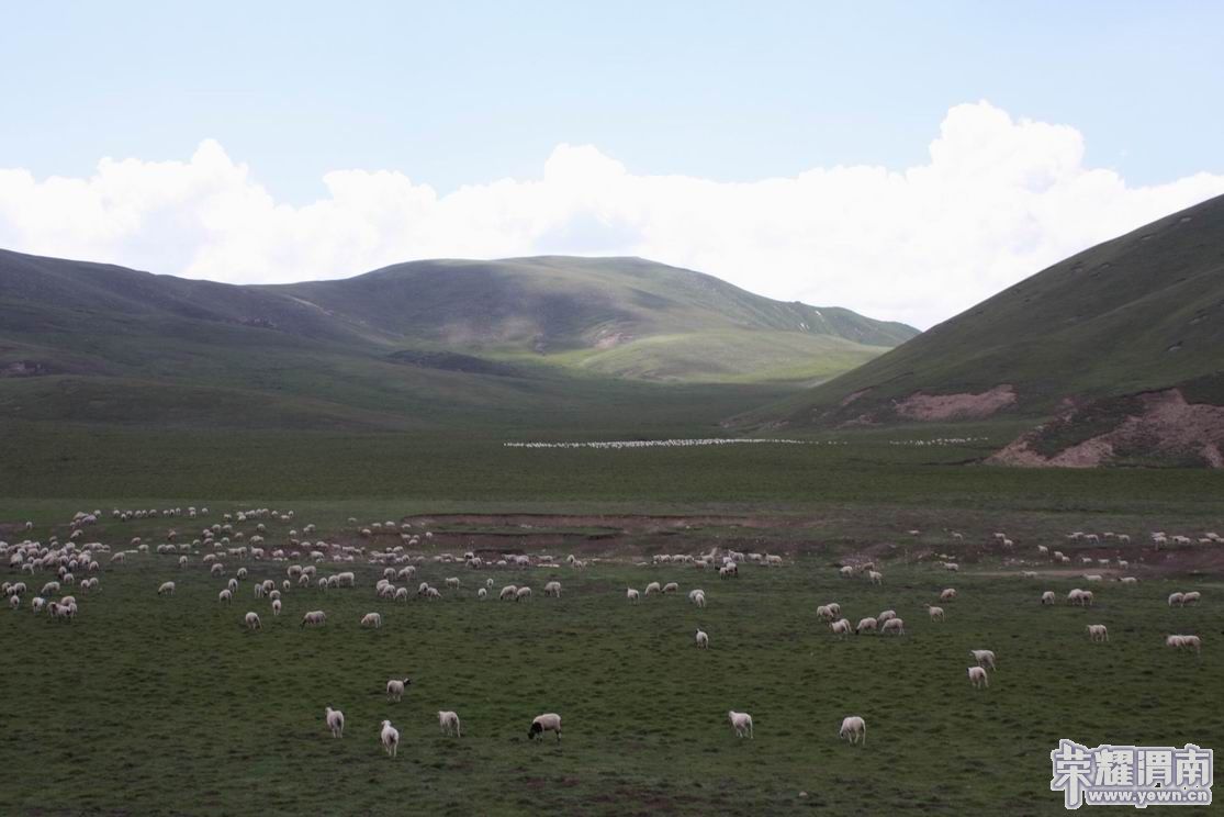 ������С 46.JPG