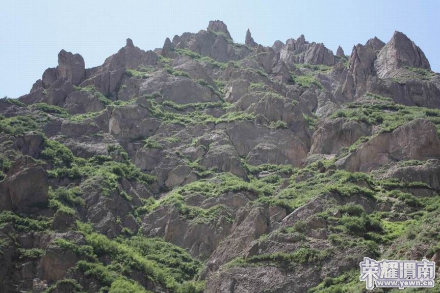 ������С 36.JPG