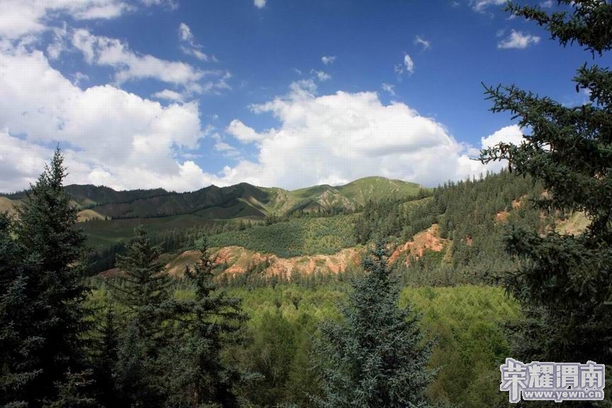 ������С 52.JPG