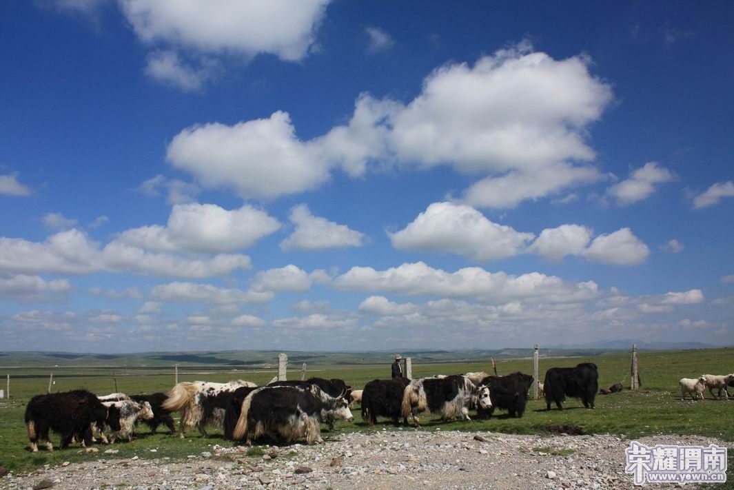 ������С 21.JPG