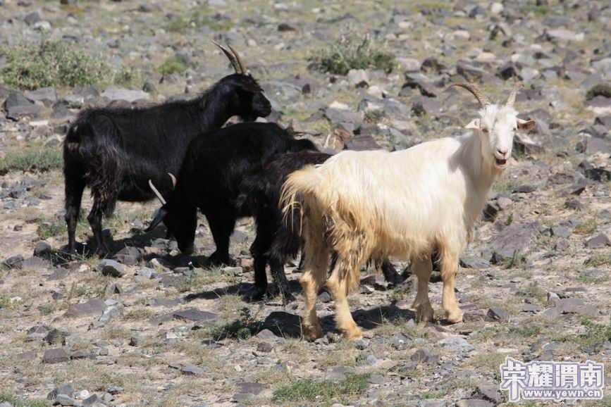 ������С 5.JPG