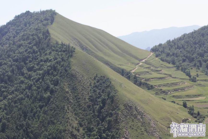 ������С 11.JPG