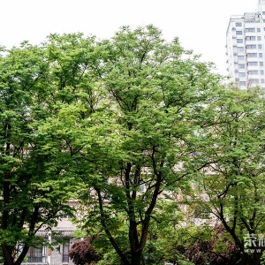 260416μ�ϻ���