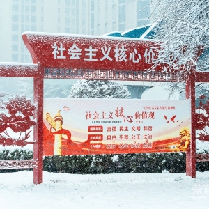 251231��ѩ�׷�