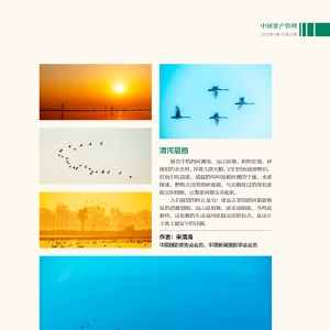 260106��˺��