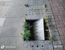 ���������㳡������ˮ�����𣬸����ܶ�������ź�����ˣ��ϣ������������