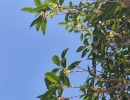 ���¹���