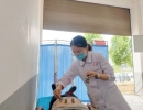 μ��������ҽԺ����ߞ��չ���ͽ�������
