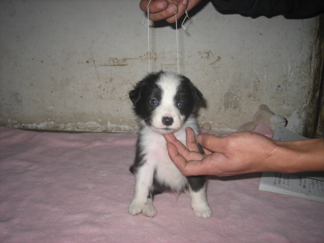 IMG_7032.jpg
