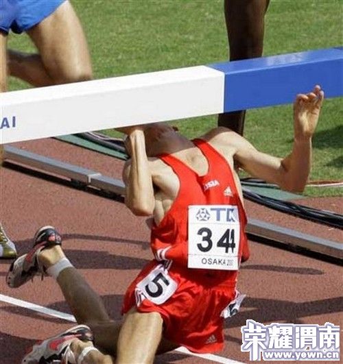 125259.52647392_500.jpg