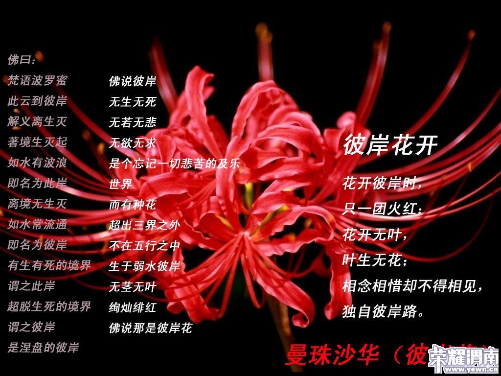 8f8d5ee9e4f3692ab90e2dc1.jpg