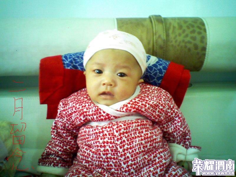 �����е���