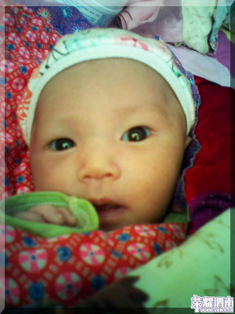 һ��������